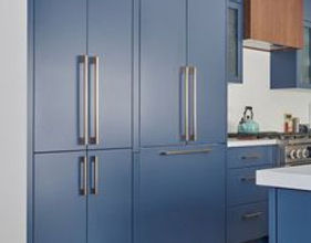 Blue Panel Refrigerator Installation.jpg