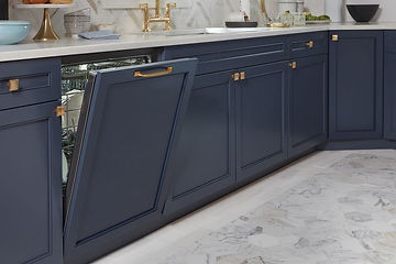 paneling-dishwasher.jpg